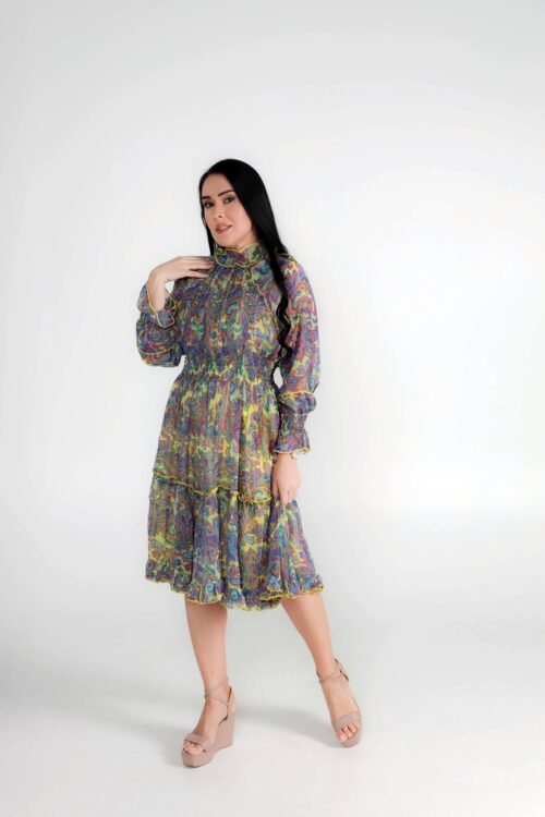 Multicolor Chiffon Dress with Frills
