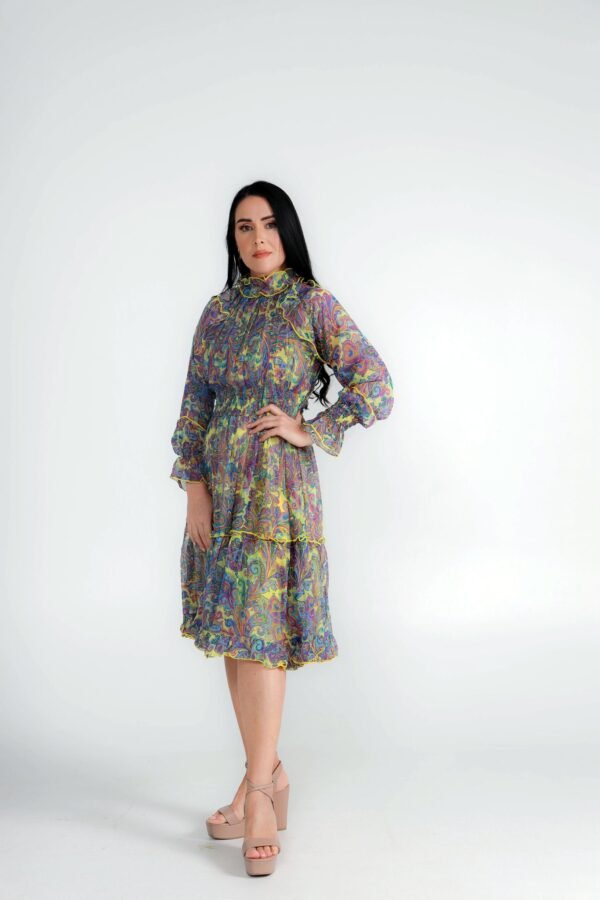 Multicolor Chiffon Dress with Frills - Image 2